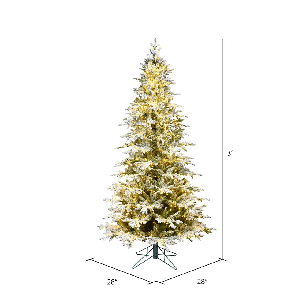 3' x 28" Flocked Kamas Fraser Artificial Christmas Tree Warm White Dura-Lit LED