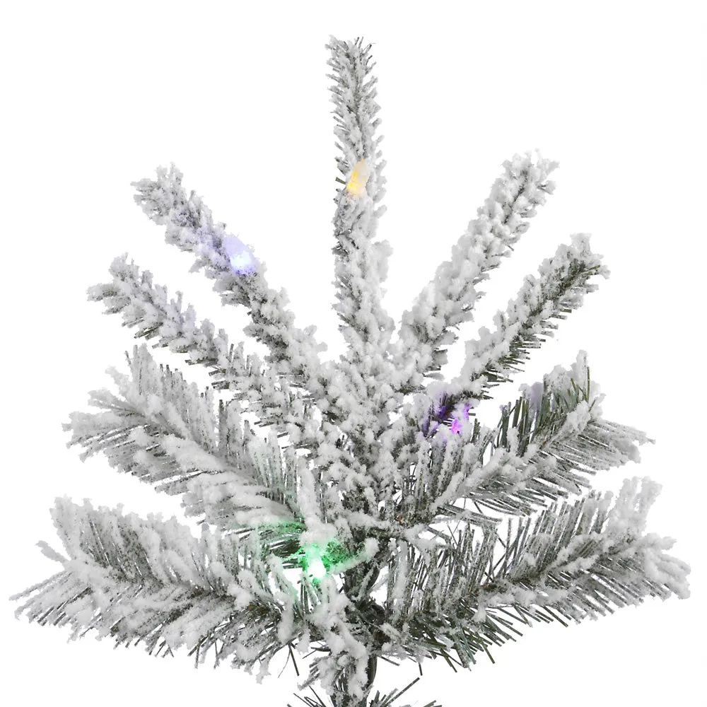 8.5' Flocked Sierra Fir Slim Artificial Xmas Tree Colored LED Dura-Lit lights