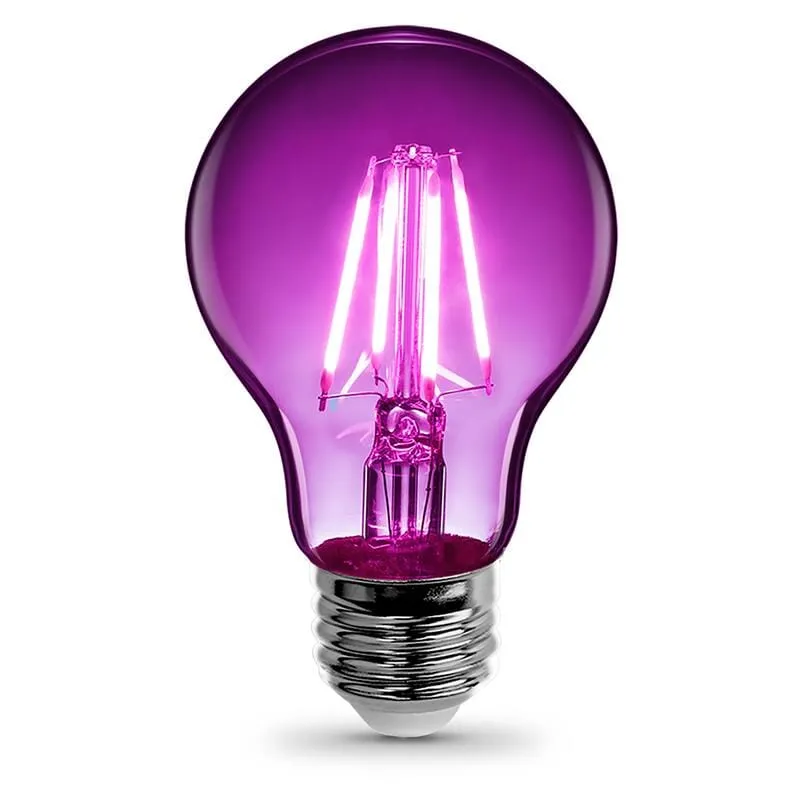 FEIT Electric  Filament  A19  E26 (Medium)  LED Bulb  Purple  30 Watt