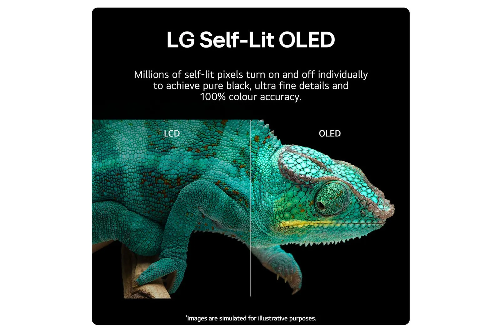 LG 65 Inch B4 OLED 4K Smart TV (2024) | OLED65B46LA.AEK